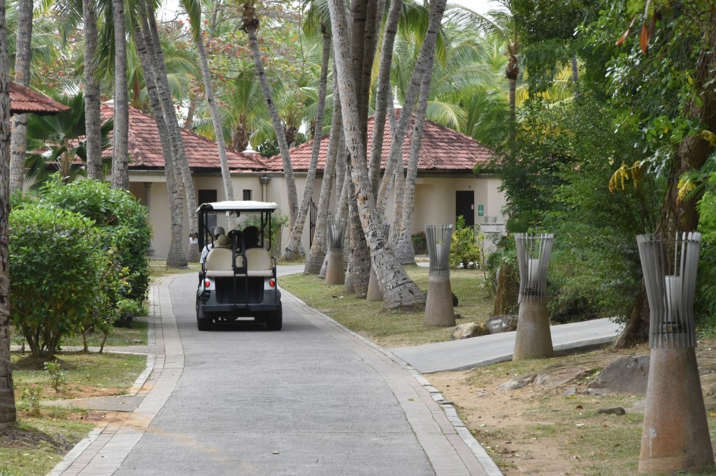 Golf cart for guests