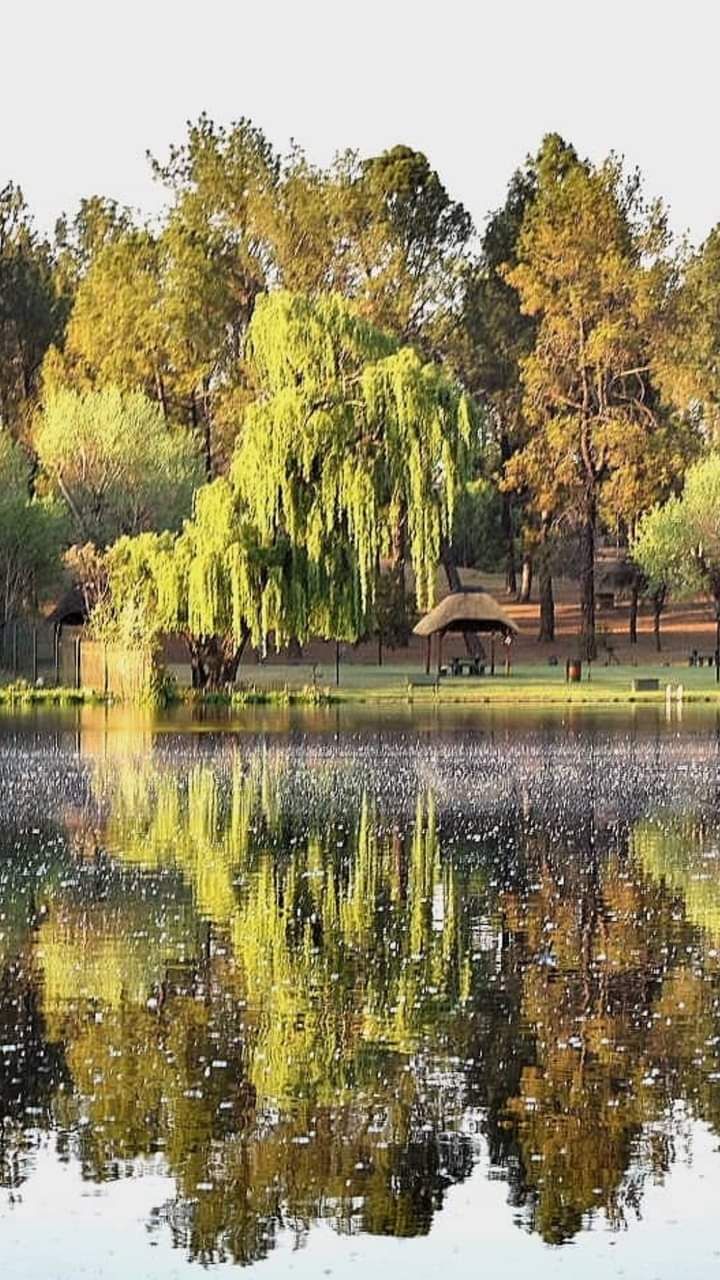 Conversations with Myself: The Power of&nbsp;Self-Reflection