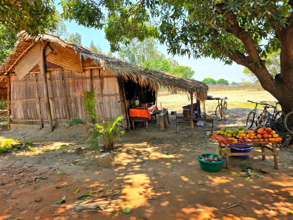 Traditional House, Mahajanga, Madagascar