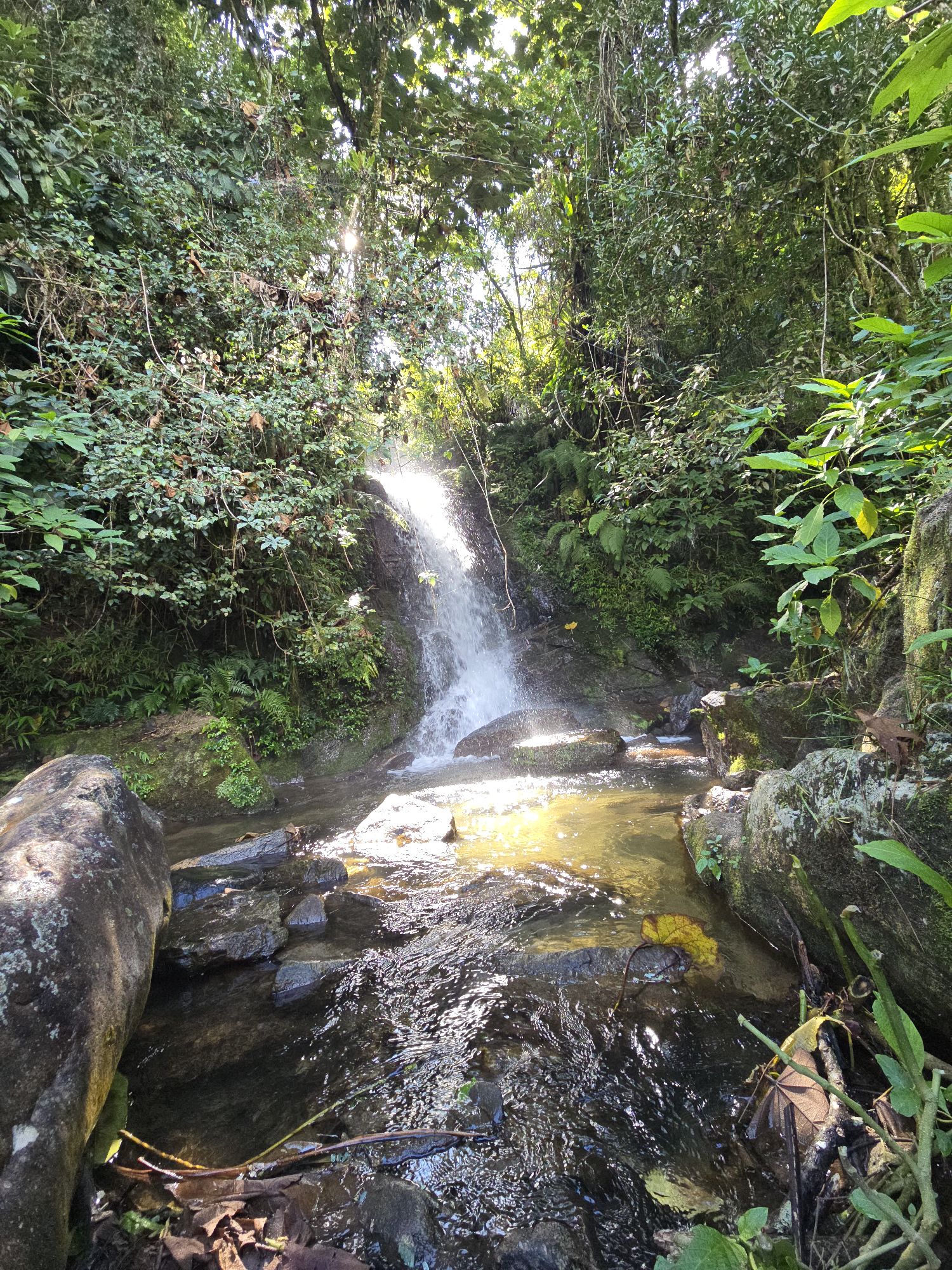 The One Travel Habit That Brings Me Joy: How Mindful Discovery Transforms Every Journey