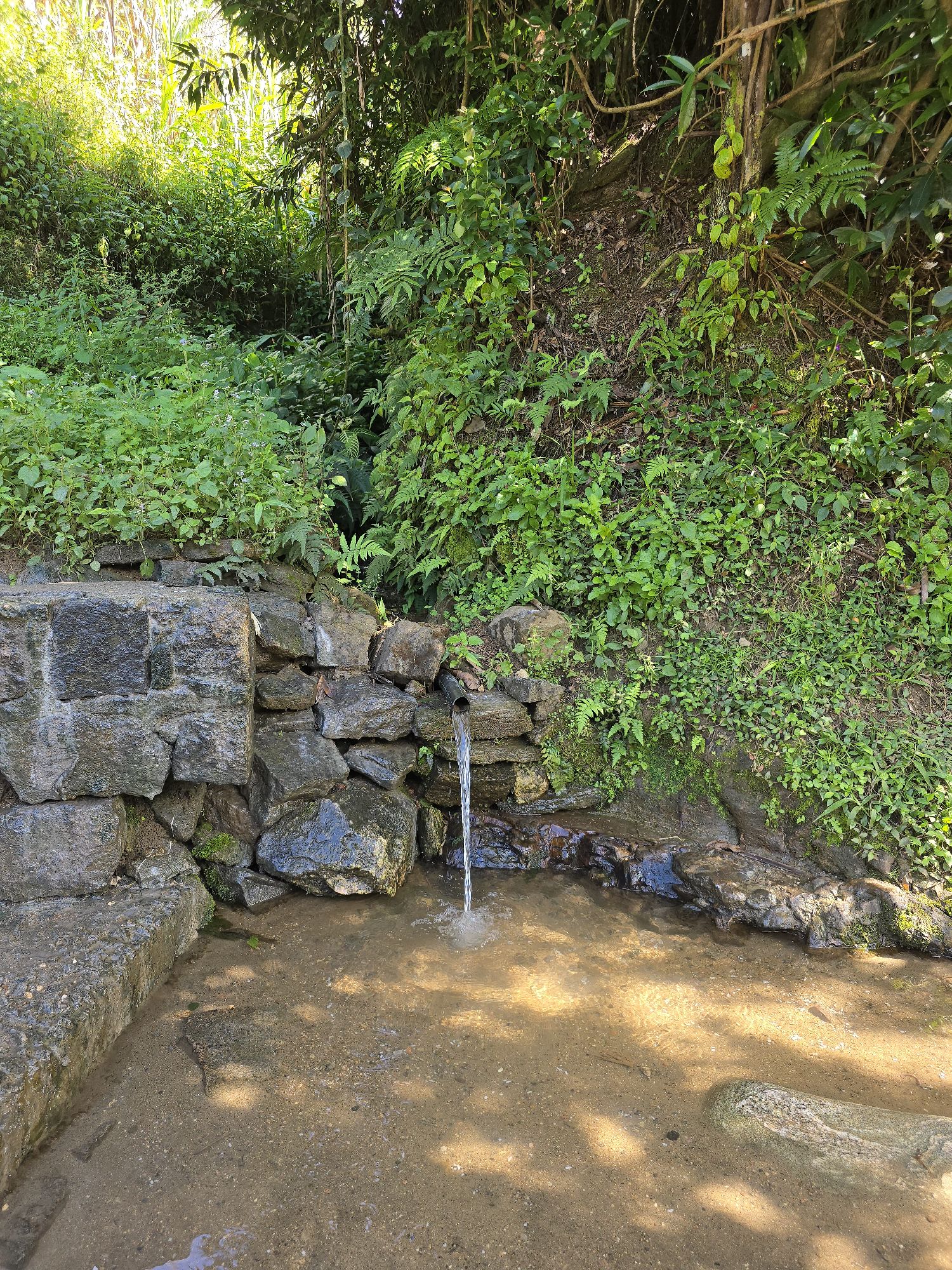 Discovering Mindfulness in Madagascar’s Countryside