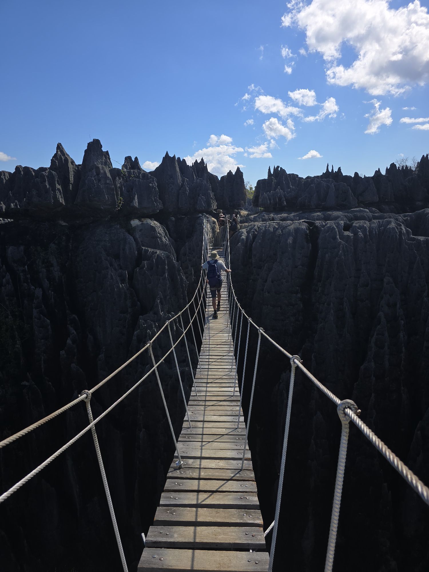 On the bridge at the Tsingy de Bemaraha