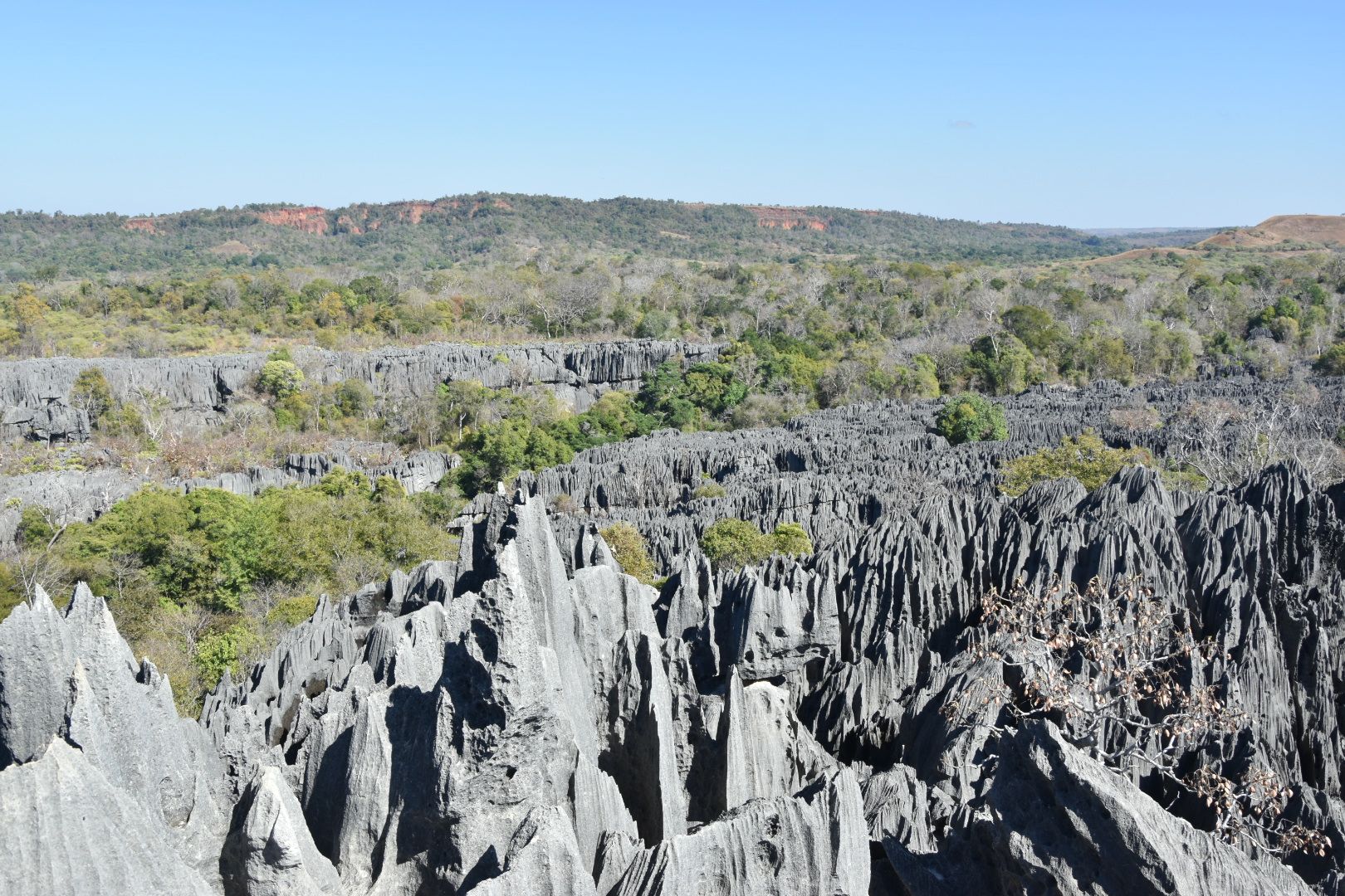 Discovering Adventure: My Tsingy de Bemaraha Experience
